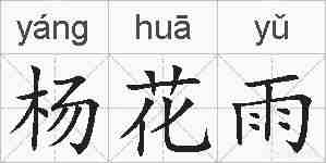 杨花雨的拼音