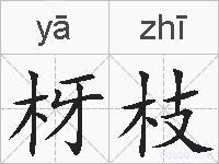 枒枝的拼音