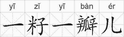 一籽一瓣儿的拼音