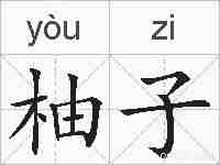 柚子的拼音
