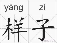 样子的拼音