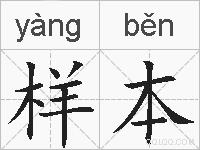 样本的拼音