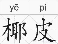 椰皮的拼音