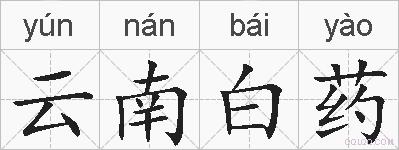 云南白药的拼音