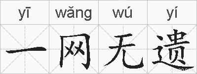 一网无遗的拼音