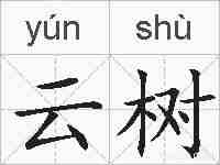 云树的拼音