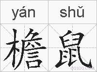 檐鼠的拼音
