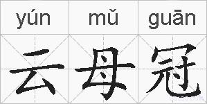 云母冠的拼音
