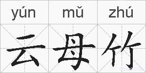 云母竹的拼音