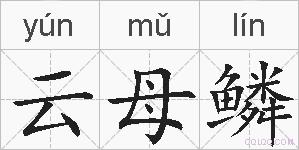 云母鳞的拼音