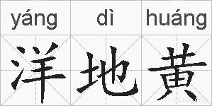 洋地黄的拼音