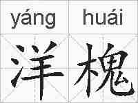 洋槐的拼音
