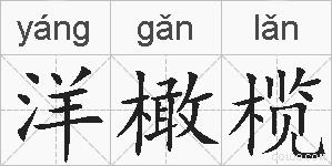 洋橄榄的拼音