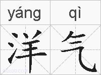 洋气的拼音