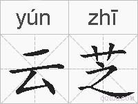 云芝的拼音