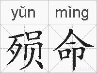 殒命的拼音