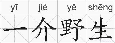 一介野生的拼音