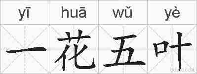 一花五叶的拼音