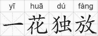 一花独放的拼音