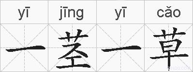 一茎一草的拼音