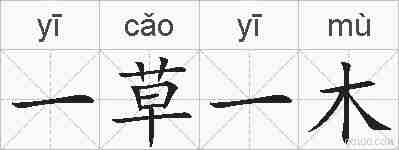 一草一木的拼音