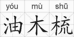 油木梳的拼音