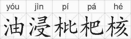 油浸枇杷核的拼音