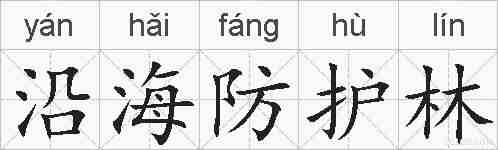 沿海防护林的拼音