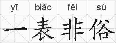 一表非俗的拼音