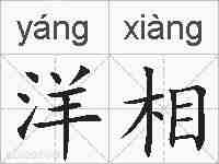 洋相的拼音