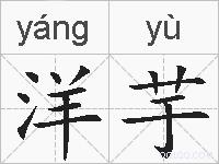 洋芋的拼音