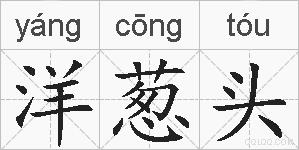洋葱头的拼音