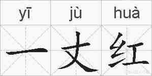 一丈红的拼音