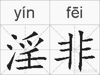 淫非的拼音