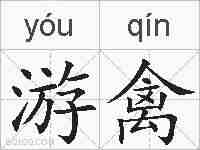 游禽的拼音