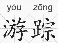游踪的拼音