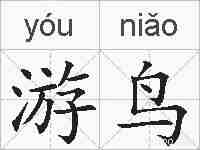 游鸟的拼音
