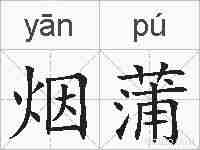 烟蒲的拼音