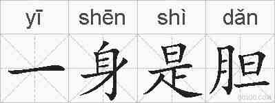 一身是胆的拼音