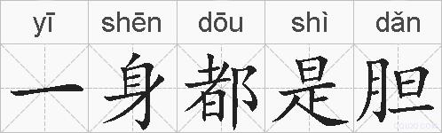 一身都是胆的拼音