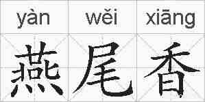 燕尾香的拼音