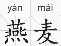 燕麦的拼音