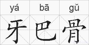 牙巴骨的拼音