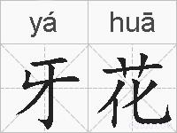 牙花的拼音