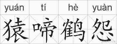 猿啼鹤怨的拼音