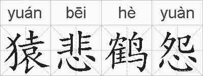 猿悲鹤怨的拼音