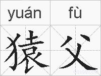 猿父的拼音