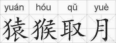 猿猴取月的拼音