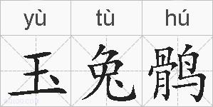 玉兔鹘的拼音