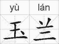 玉兰的拼音